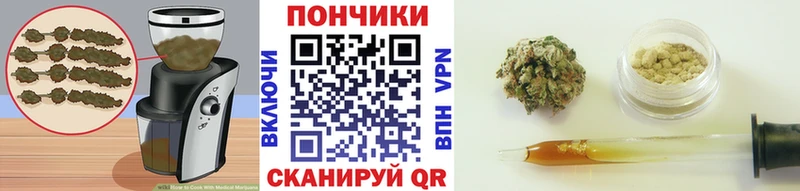 Canna-Cookies марихуана  магазин продажи наркотиков  Короча 